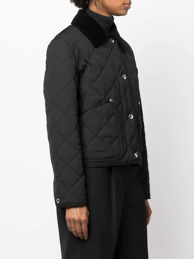 Shop Burberry Corduroy-collar Quilted Cropped Jacket In Schwarz