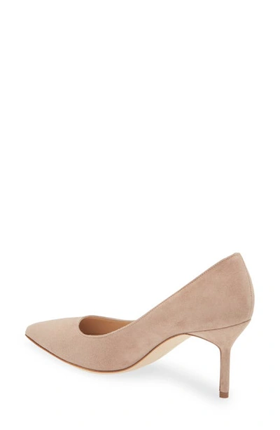 Shop Manolo Blahnik Bb Pointed Toe Pump In Nude Suede