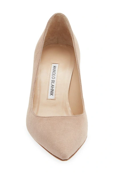 Shop Manolo Blahnik Bb Pointed Toe Pump In Nude Suede