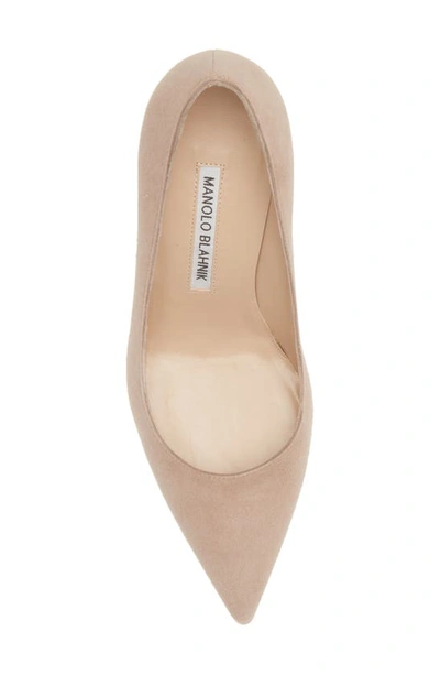 Shop Manolo Blahnik Bb Pointed Toe Pump In Nude Suede