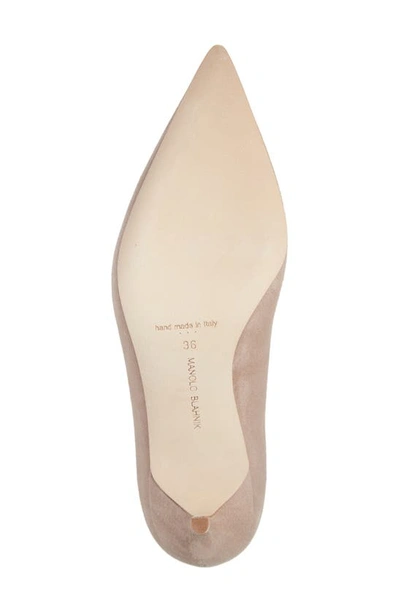 Shop Manolo Blahnik Bb Pointed Toe Pump In Nude Suede