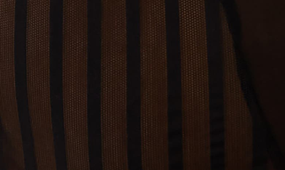 Playful Promises Curve High Waist Mesh Briefs In Black