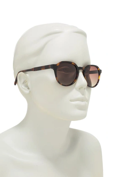Shop Ted Baker 49mm Round Polarized Sunglasses In Tortoise