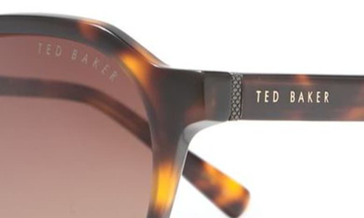 Shop Ted Baker 49mm Round Polarized Sunglasses In Tortoise