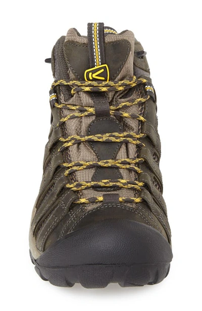 Shop Keen Voyageur Mid Hiking Boot In Raven/ Tawny Olive