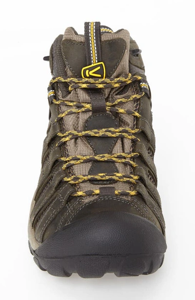 Shop Keen Voyageur Mid Hiking Boot In Raven/ Tawny Olive