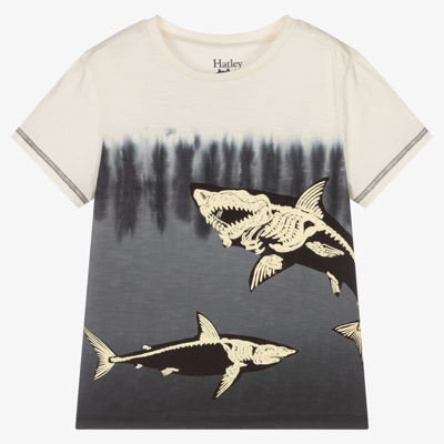 Shop Hatley Boys Grey Glow Sharks T-shirt