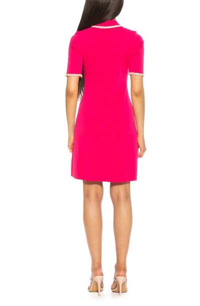 Shop Alexia Admor Piper Short Sleeve Knit Dress In Magenta/ White