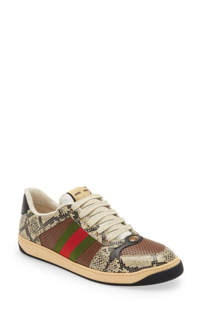 Gucci Python Leather Sneakers Beige,brown ModeSens