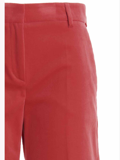 Shop Alberto Biani Hyppies Pants In Fuchsia