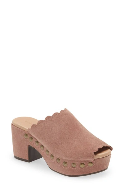 Shop Chocolat Blu Genessis Platform Clog In Plum Suede