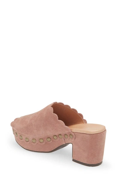 Shop Chocolat Blu Genessis Platform Clog In Plum Suede