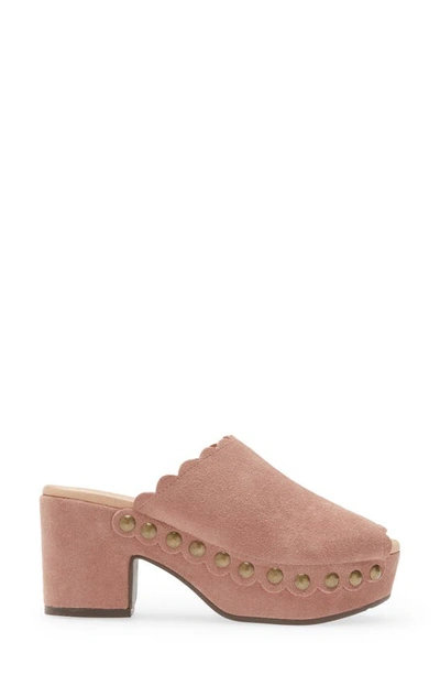 Chocolat Blu Genessis Platform Clog In Plum Suede