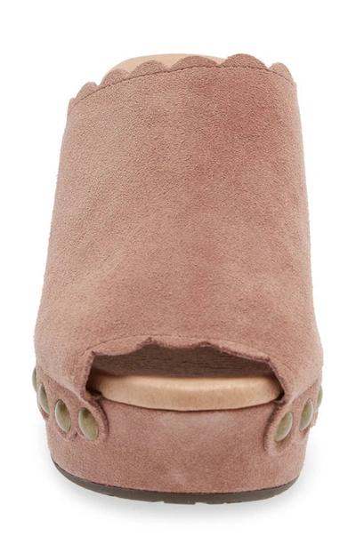 Chocolat Blu Genessis Platform Clog In Plum Suede
