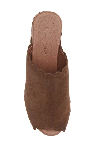 Shop Chocolat Blu Genessis Platform Clog In Chocolate Suede