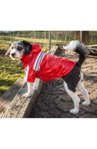 Pet Life Reflecta Glow Reflective Waterproof Adjustable Raincoat In Red