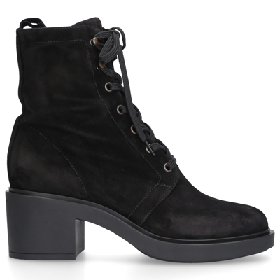 Shop Gianvito Rossi Ankle Boots Foster Suede In Black