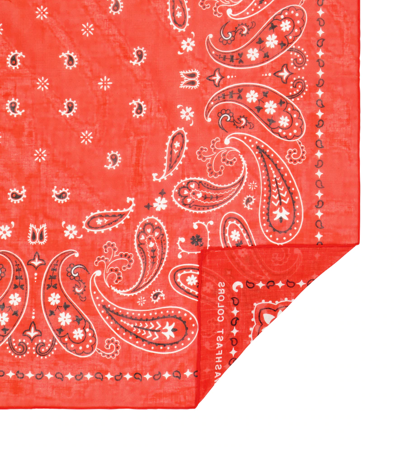 Shop Alanui Paisley Cotton Scarf In Red Multicolor