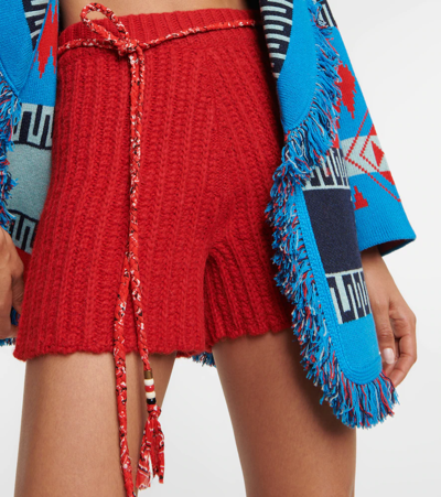 Alanui Braided Bandana Belt In Red Special