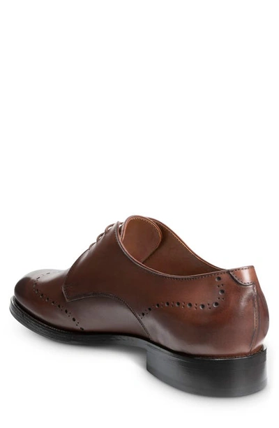 Shop Allen Edmonds Lucca Derby In Dark Chili