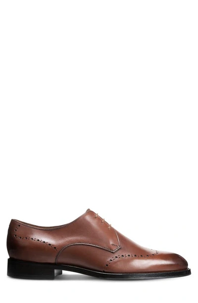 Shop Allen Edmonds Lucca Derby In Dark Chili