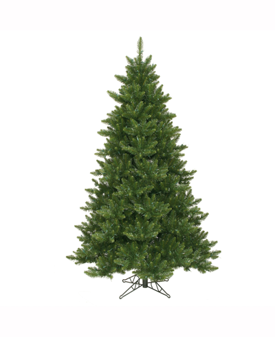 Vickerman 6.5 Ft Camdon Fir Artificial Christmas Tree Unlit