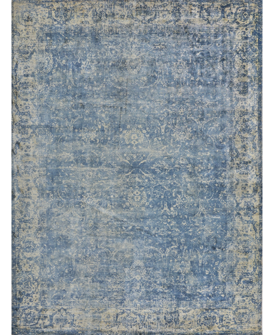 Exquisite Rugs Cassina Er2545 Area Rug, 8' X 10' In Denim
