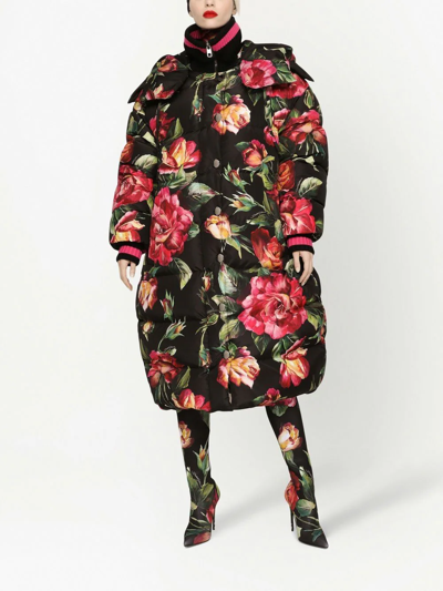 Shop Dolce & Gabbana Long Floral-print Down Jacket In Black