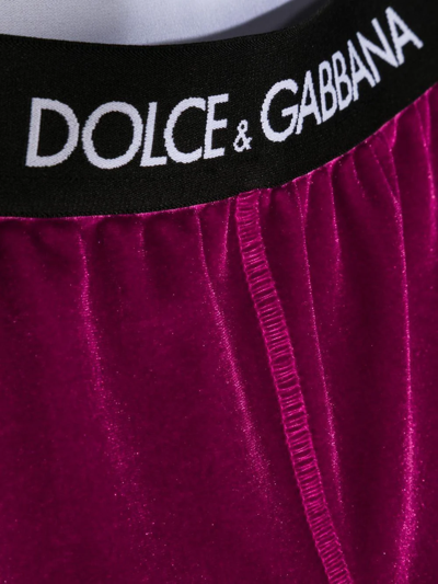Shop Dolce & Gabbana Logo-waistband Velour Leggings In Pink