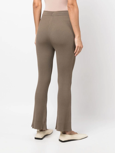 Shop Nanushka Ribbed Knitted Cropped Trousers In Brown
