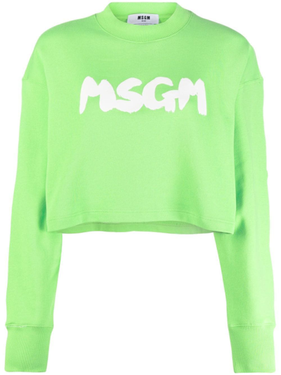 Shop Msgm Logo-print Cropped Sweatshirt In Green