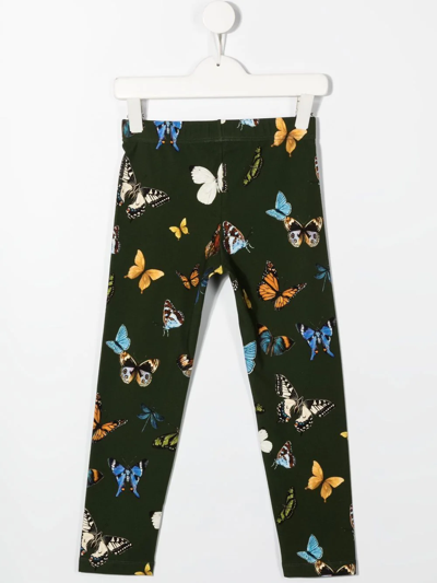 Shop Dolce & Gabbana Butterfly-print Jersey Leggings In Green