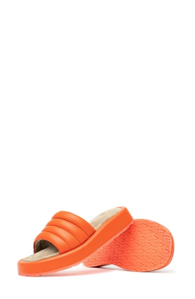 Shop P448 Fergie Sandal In Orange