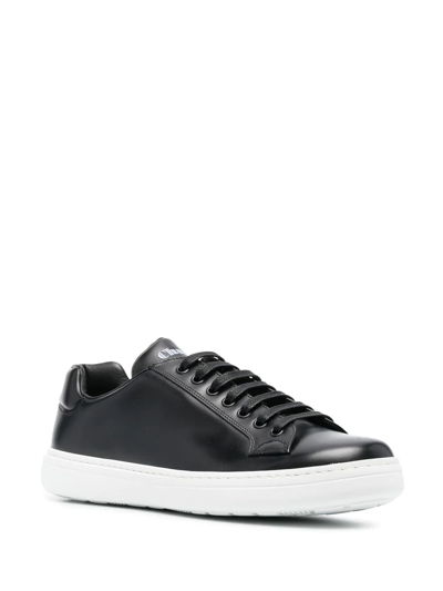 Shop Church's Boland Low-top Sneakers In Schwarz