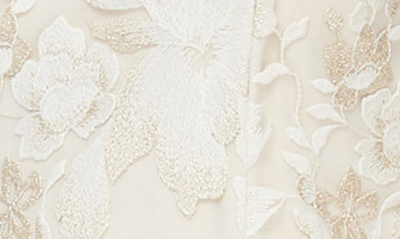 Alex Evenings Plus Size Embroidered Lace A-line Dress In Taupe