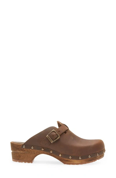 Sanita Kristel Stud Leather Clog In Antique Brown