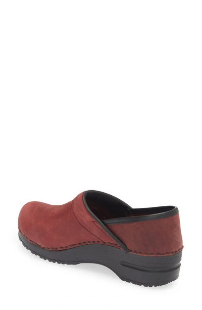 Sanita Professional Leather Clog In Port