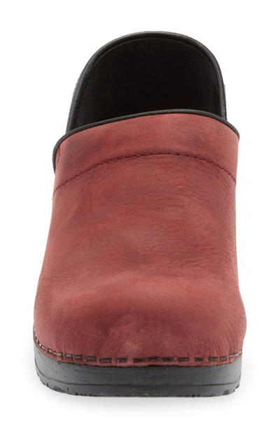 Sanita Professional Leather Clog In Port