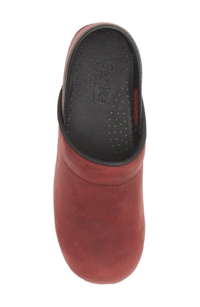 Sanita Professional Leather Clog In Port