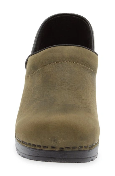 Shop Sanita Professional Leather Clog In Olive