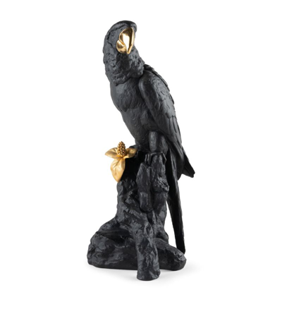 Shop Lladrò Boldblack Macaw Figurine In Multi