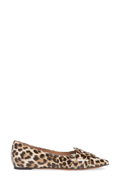 Shop Linea Paolo Niola Skimmer Flat In Dark Brown Patent Leather