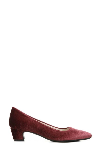 Shop Lifestride Minx Pointed Toe Pump In Pinot Noir