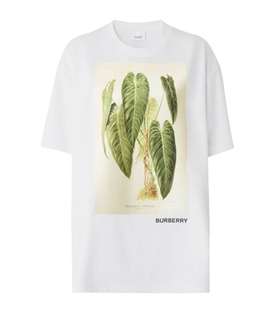 Shop Burberry Cotton Botanical T-shirt In White