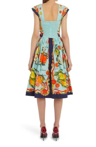 Shop Dolce & Gabbana Agrumi Di Sicilia Cotton Poplin Corset Dress In Ht3un Agrumi F.turchese