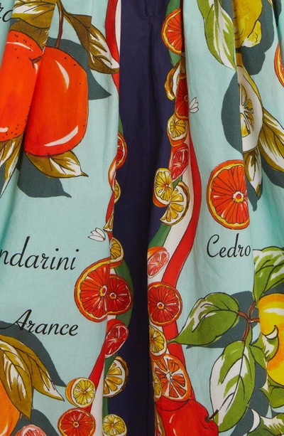 Dolce & Gabbana Agrumi Di Sicilia Cotton Poplin Corset Dress In Ht3un Agrumi F.turchese