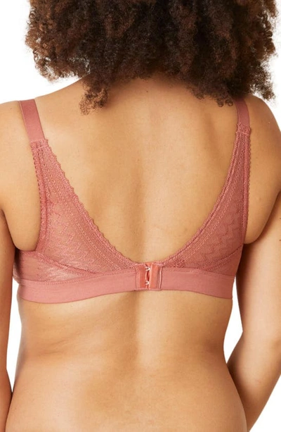 Shop Cache Coeur Serena Wireless Lace Nursing Bra In Terracotta