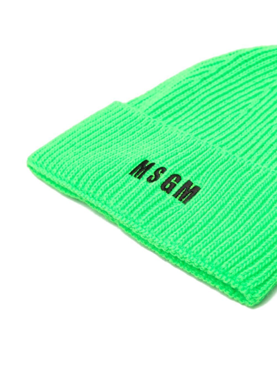 Shop Msgm Ribbed Logo-embroidered Beanie In Green