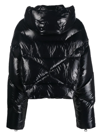 Shop Khrisjoy Zip-up Hooded Padded Jacket In Schwarz