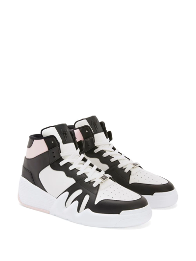 Shop Giuseppe Zanotti Colour-block Panelled Sneakers In Pink